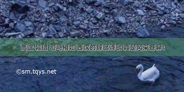 贾谊 晁错 司马相如 西汉的辞赋诗歌 真是风采各异！