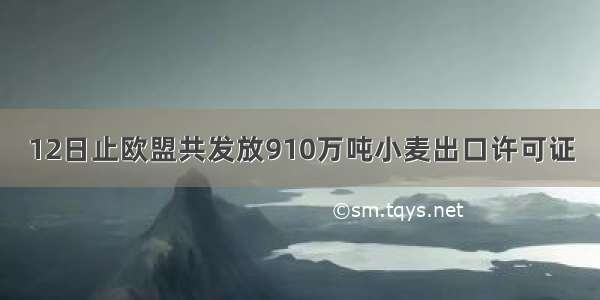 12日止欧盟共发放910万吨小麦出口许可证