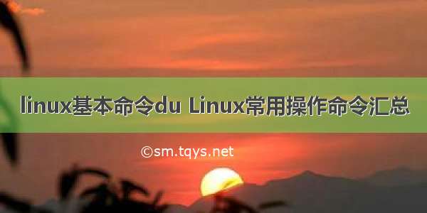 linux基本命令du Linux常用操作命令汇总