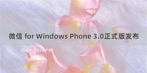 微信 for Windows Phone 3.0正式版发布