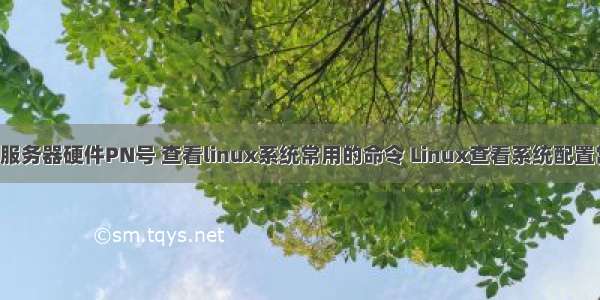 linux查服务器硬件PN号 查看linux系统常用的命令 Linux查看系统配置常用命令