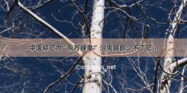 中医称它为“东方睡果” 治失眠都少不了它...