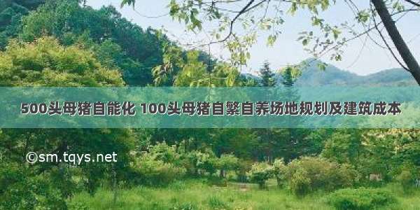 500头母猪自能化 100头母猪自繁自养场地规划及建筑成本