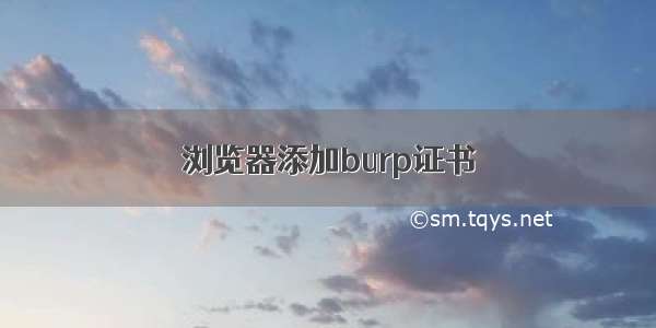 浏览器添加burp证书