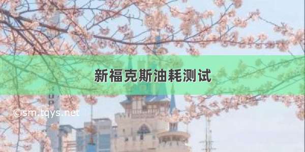 新福克斯油耗测试