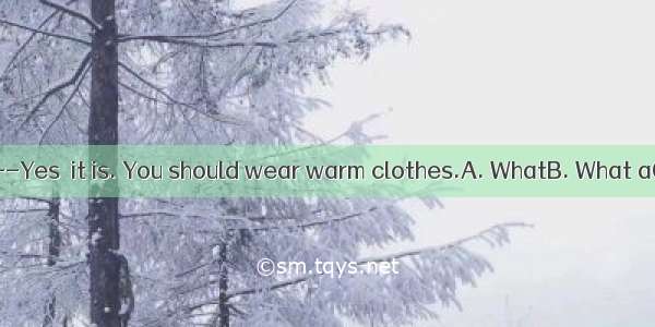 cold weather!---Yes  it is. You should wear warm clothes.A. WhatB. What aC. HowD. How