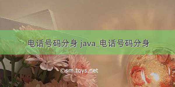 电话号码分身 java_电话号码分身