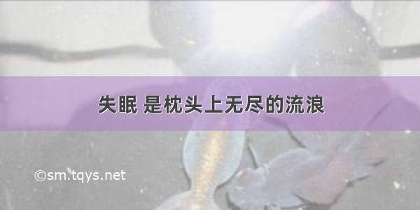 失眠 是枕头上无尽的流浪