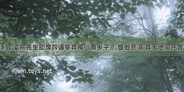 【天柱山诗会 梁东先生即席吟诵辛弃疾《南乡子》 慷慨悲凉 真天地间元音也。爰次韩