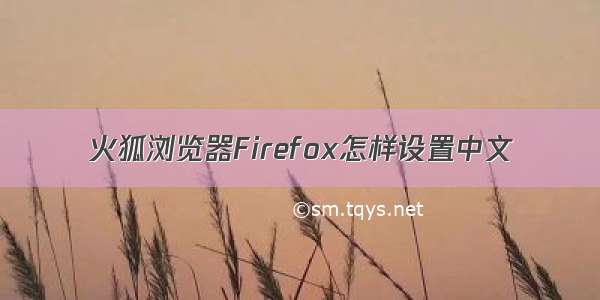 火狐浏览器Firefox怎样设置中文