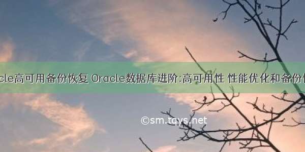 oracle高可用备份恢复 Oracle数据库进阶:高可用性 性能优化和备份恢复