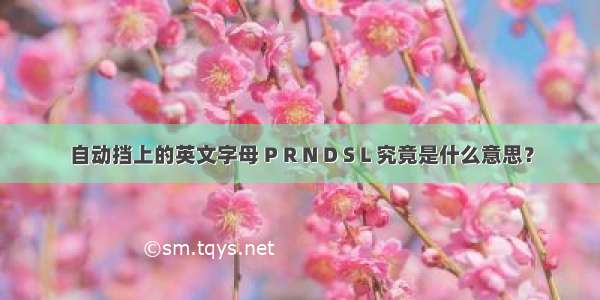 自动挡上的英文字母 P R N D S L 究竟是什么意思？