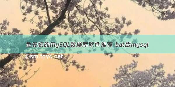 免安装的MySQL数据库软件推荐 bat版mysql