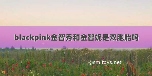 blackpink金智秀和金智妮是双胞胎吗