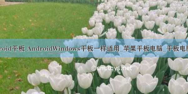 windows和android平板 AndroidWindows平板一样适用_苹果平板电脑_平板电脑评测-中关村...