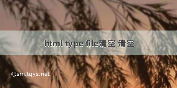 html type file清空 清空