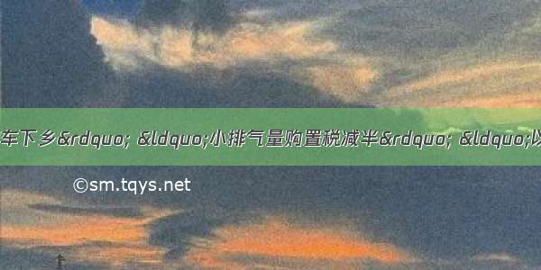 去年中国政府推出了&ldquo;汽车下乡&rdquo; &ldquo;小排气量购置税减半&rdquo; &ldquo;以旧换新&rdquo;等政策 极大