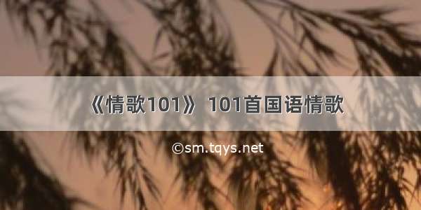 《情歌101》 101首国语情歌