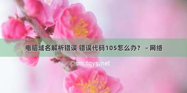 电脑域名解析错误 错误代码105怎么办？ – 网络