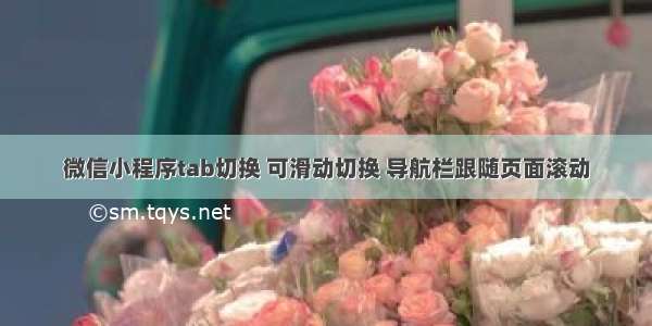 微信小程序tab切换 可滑动切换 导航栏跟随页面滚动