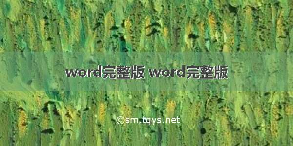 word完整版 word完整版