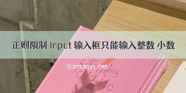 正则限制 input 输入框只能输入整数 小数