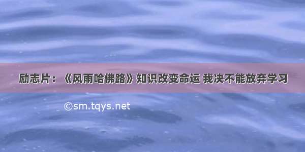 励志片：《风雨哈佛路》知识改变命运 我决不能放弃学习