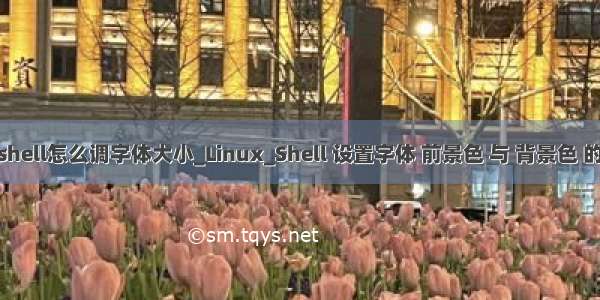 python shell怎么调字体大小_Linux_Shell 设置字体 前景色 与 背景色 的几种方法