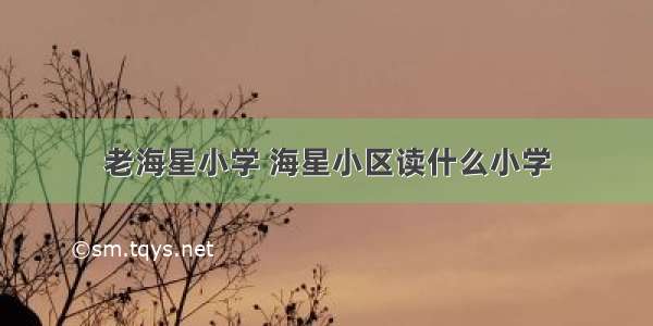 老海星小学 海星小区读什么小学