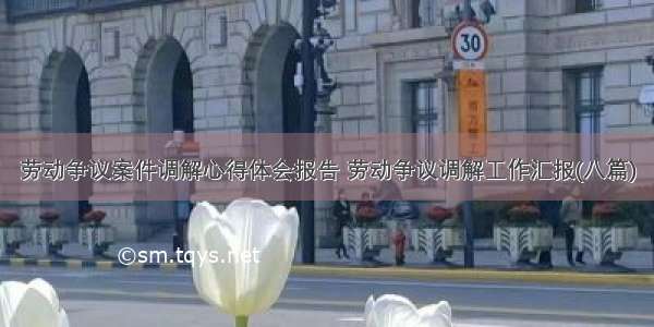 劳动争议案件调解心得体会报告 劳动争议调解工作汇报(八篇)