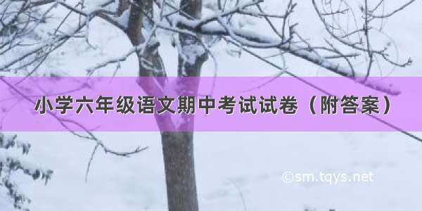 小学六年级语文期中考试试卷（附答案）