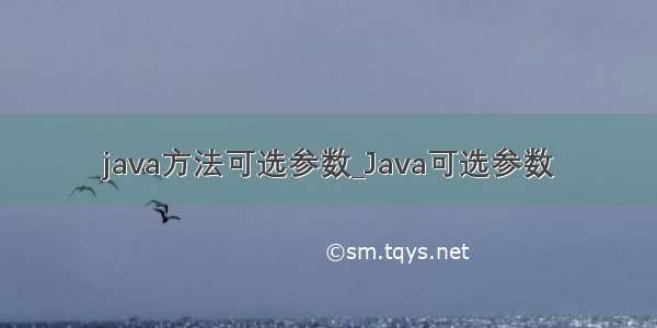java方法可选参数_Java可选参数