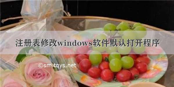 注册表修改windows软件默认打开程序