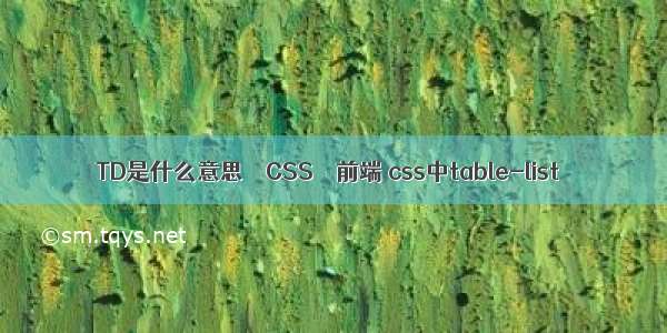 TD是什么意思 – CSS – 前端 css中table-list