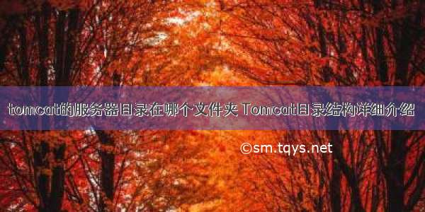 tomcat的服务器目录在哪个文件夹 Tomcat目录结构详细介绍