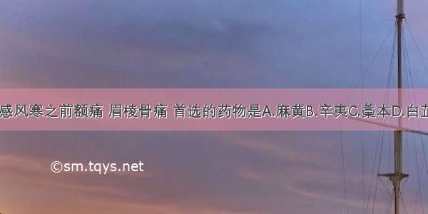 治疗外感风寒之前额痛 眉棱骨痛 首选的药物是A.麻黄B.辛夷C.藁本D.白芷E.羌活