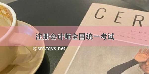 注册会计师全国统一考试