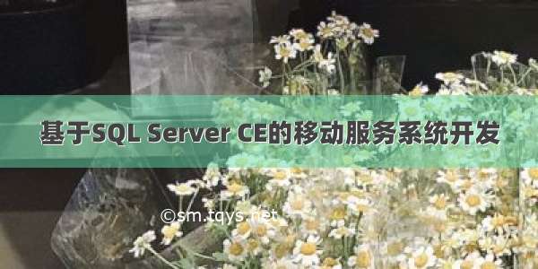 基于SQL Server CE的移动服务系统开发