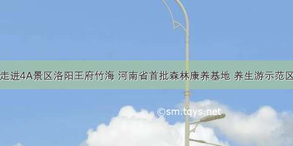 走进4A景区洛阳王府竹海 河南省首批森林康养基地 养生游示范区