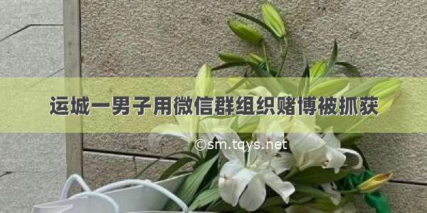 运城一男子用微信群组织赌博被抓获