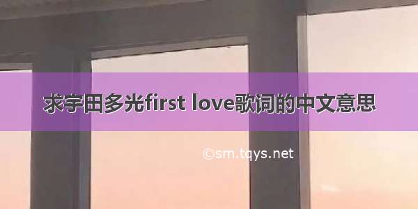 求宇田多光first love歌词的中文意思