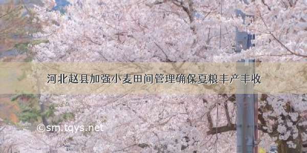 河北赵县加强小麦田间管理确保夏粮丰产丰收