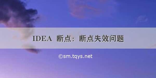 IDEA  断点：断点失效问题