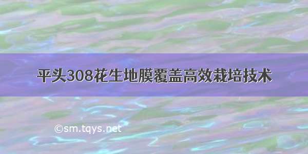 平头308花生地膜覆盖高效栽培技术