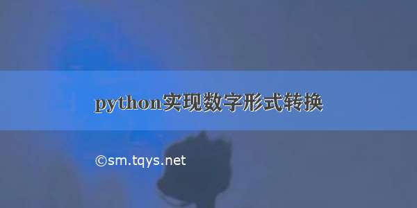 python实现数字形式转换