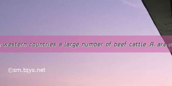 They say in many western countries a large number of beef cattle .A. are raisedB. is raise