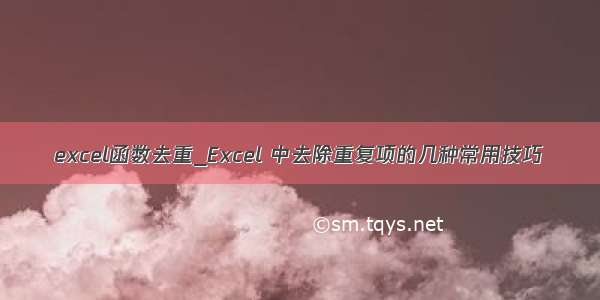 excel函数去重_Excel 中去除重复项的几种常用技巧