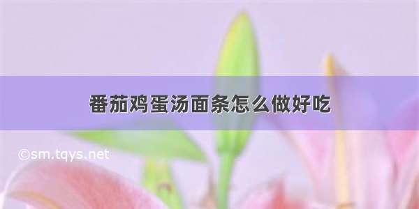 番茄鸡蛋汤面条怎么做好吃