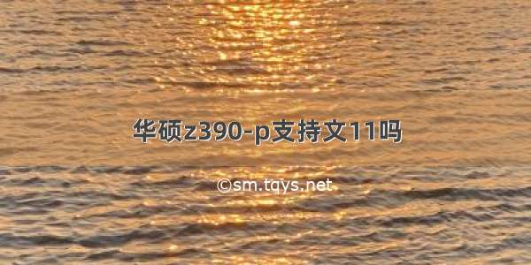 华硕z390-p支持文11吗