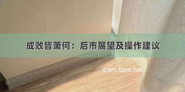 成败皆萧何：后市展望及操作建议